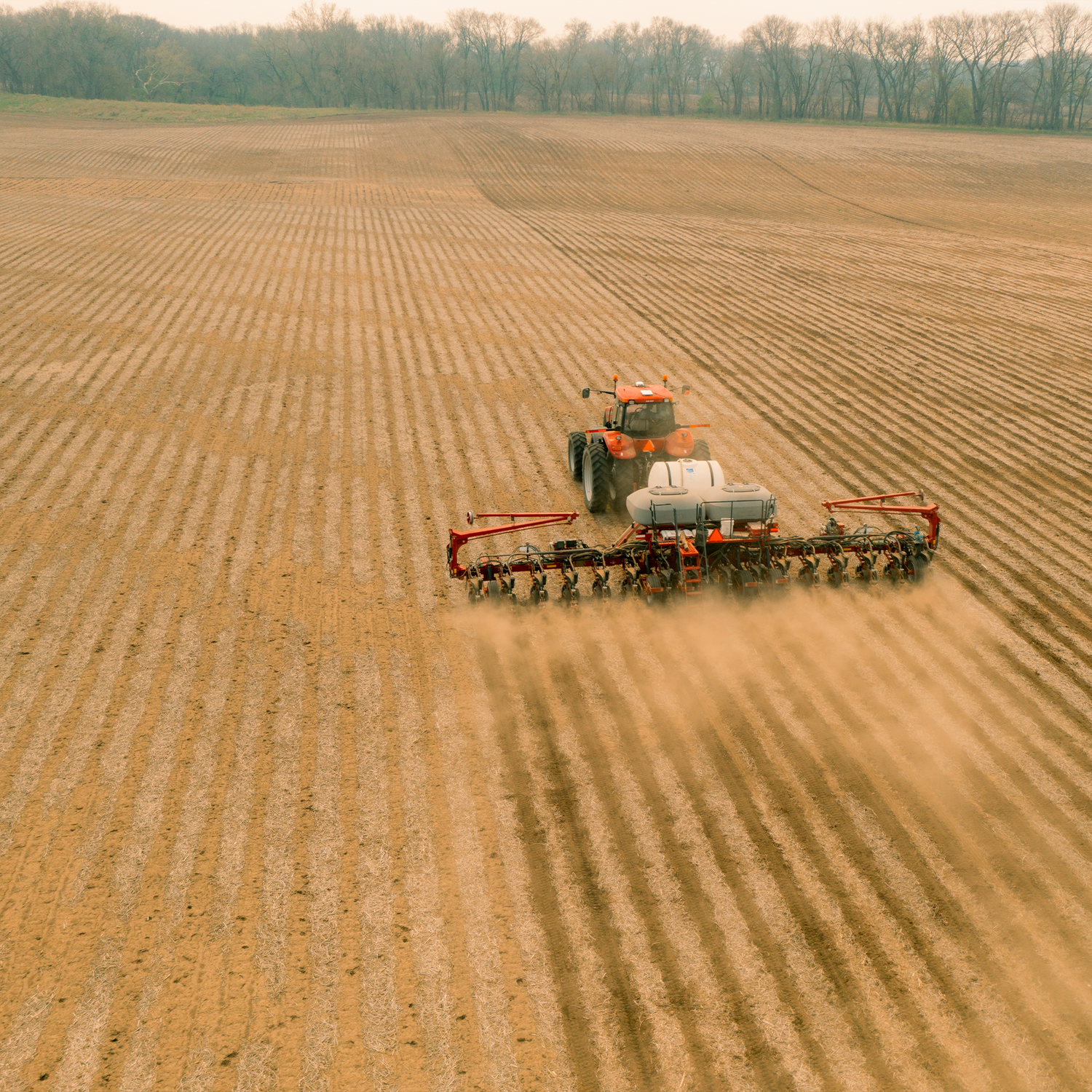 Fertility & Stabilization